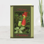 De Kaart van de Denneappel van Kerstmis (Voorkant)