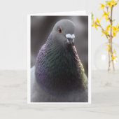 De Kaart van de Duif van Glasgow (Gele Bloem)