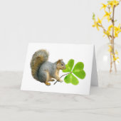 De Kaart van de Eekhoorn van de klaver (Gele Bloem)
