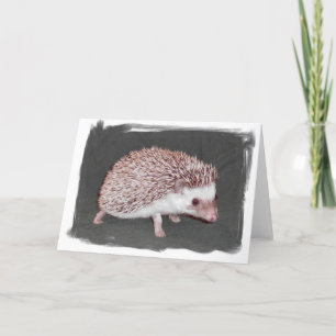 De Kaart van de egel