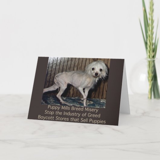 De Kaart van de Ellende van het Ras van de Molens (Voorkant)
