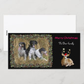 De Kaart van de Foto van de Herten van Kerstmis (Voorkant / Achterkant)