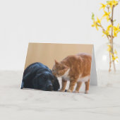De Kaart van de Foto van de hond - Davy en Vriend (Gele Bloem)