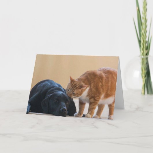 De Kaart van de Foto van de hond - Davy en Vriend (Voorkant)