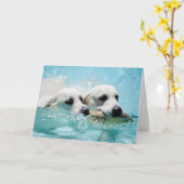 De Kaart van de Foto van het golden retriever (Gele Bloem)