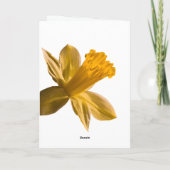 De Kaart van de gele narcis (Achterkant)