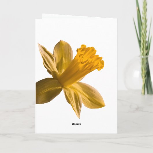 De Kaart van de gele narcis (Achterkant)