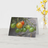 De Kaart van de Gelukwensen van de Tomatenplant (Gele Bloem)