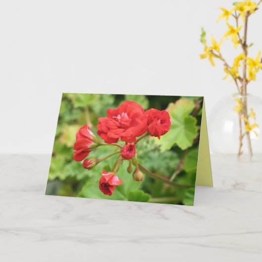 De Kaart van de geranium (Gele Bloem)