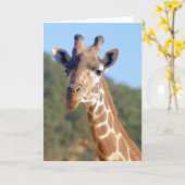 De Kaart van de Giraffe (Gele Bloem)