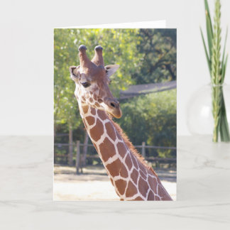 De Kaart van de Giraffe