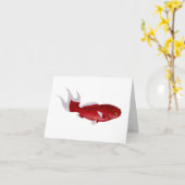 De kaart van de Goudvis van Bloch (Gele Bloem)