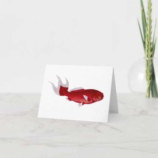 De kaart van de Goudvis van Bloch (Voorkant)