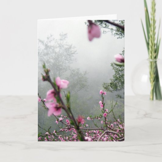 De Kaart van de Groeten van de Harmonie van de (Voorkant)