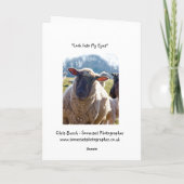 De Kaart van de Groeten van de Schapen "onderzoek (Achterkant)