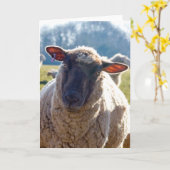 De Kaart van de Groeten van de Schapen "onderzoek (Gele Bloem)
