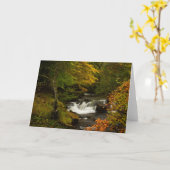 De Kaart van de Groeten van de Waterval van de (Gele Bloem)