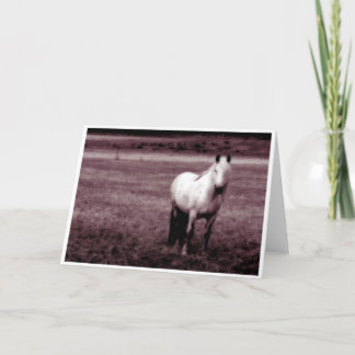 De Kaart van de Groeten van het paard