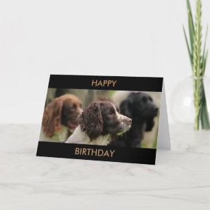 De Kaart van de Groeten van het spaniel