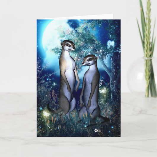 De Kaart van de Groeten van Kats van Mums (Voorkant)