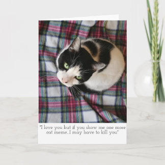 De Kaart van de Groeten van Meme van de kat