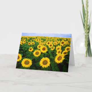 De Kaart van de Groeten van zonnebloemen