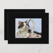 De Kaart van de Handel van de Kunst van het Katje (Voorkant / Achterkant)