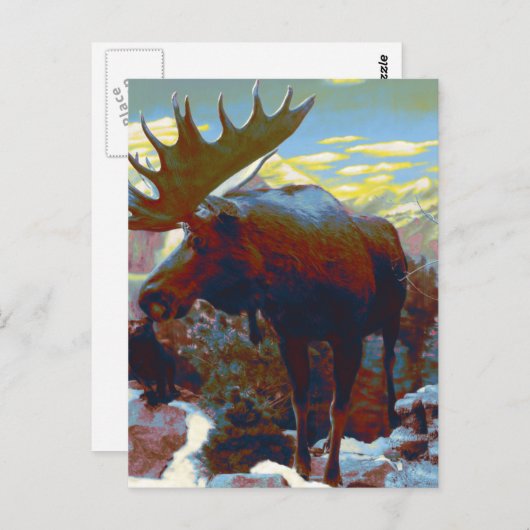 De Kaart van de Herinnering van de Amerikaanse (Voorkant / Achterkant)