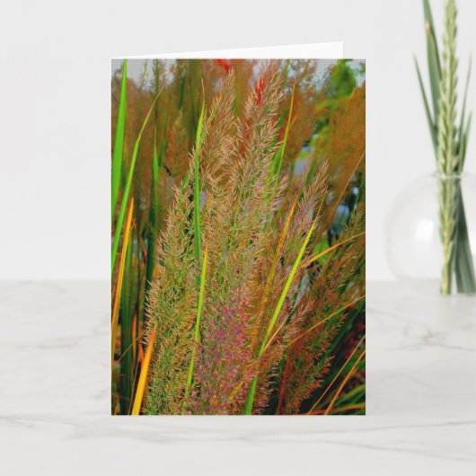 De kaart van de het collectienota van de herfst (Voorkant)