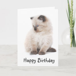 De kaart van de het katjesverjaardag van Ragdoll