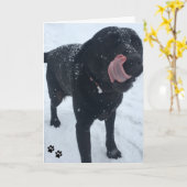 de kaart van de hondfoto (Gele Bloem)