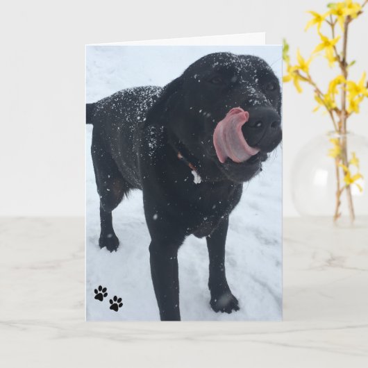 de kaart van de hondfoto (Gele Bloem)