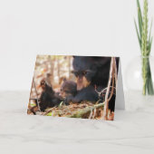 De Kaart van de hoop en van het Geloof (Voorkant)