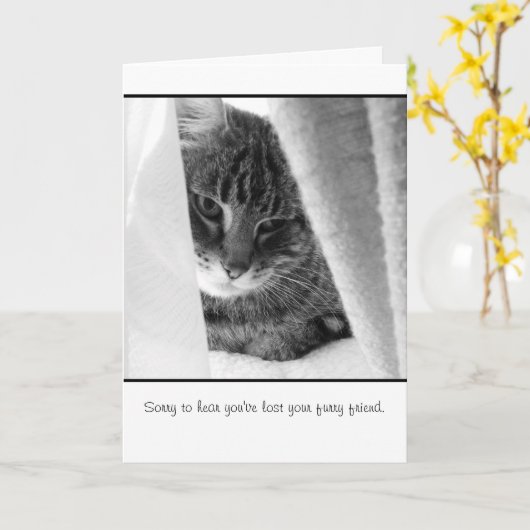 de kaart van de huisdierensympathie (Gele Bloem)