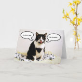 De Kaart van de Humor van de Verjaardag van de Kat (Gele Bloem)