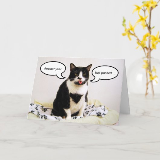 De Kaart van de Humor van de Verjaardag van de Kat (Gele Bloem)