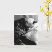 De Kaart van de kat #5 (Gele Bloem)