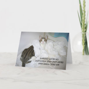 De kaart van de Kat LOL