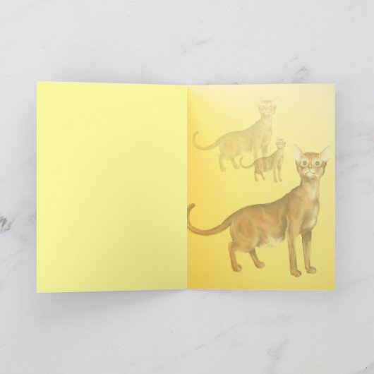 De Kaart van de Kat van Abyssinian (Binnen)