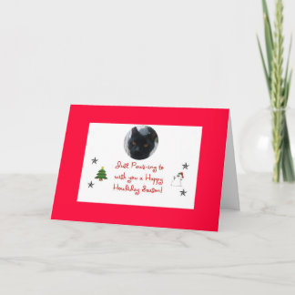 de kaart van de kattenvakantie