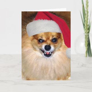 De Kaart van de Kerstman van Pomeranian van