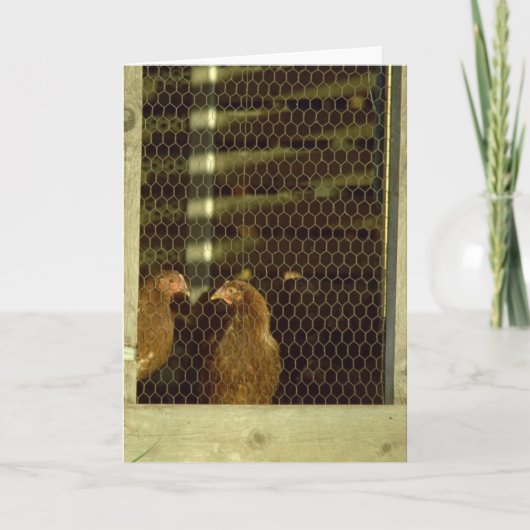 De Kaart van de Kippenren van de kip (Voorkant)