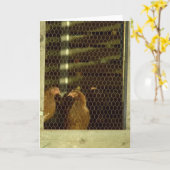 De Kaart van de Kippenren van de kip (Gele Bloem)