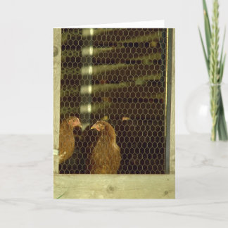 De Kaart van de Kippenren van de kip