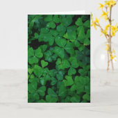 De Kaart van de Klaver van de klaver (Gele Bloem)