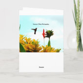 De Kaart van de kolibrie (stel 1) (Achterkant)