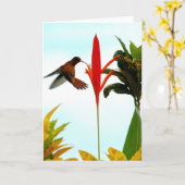 De Kaart van de kolibrie (stel 1) (Gele Bloem)