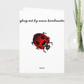 De Kaart van de Kunst van het Lieveheersbeestje (Achterkant)