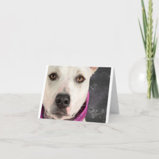 De Kaart van de lddr- Nota