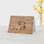 De Kaart van de leeuw (Gele Bloem)